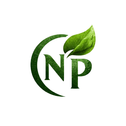 багш, оюутан, сурагчдад зориулсан цахим файлын нэгдсэн платформ